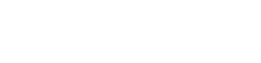 Public AI logo